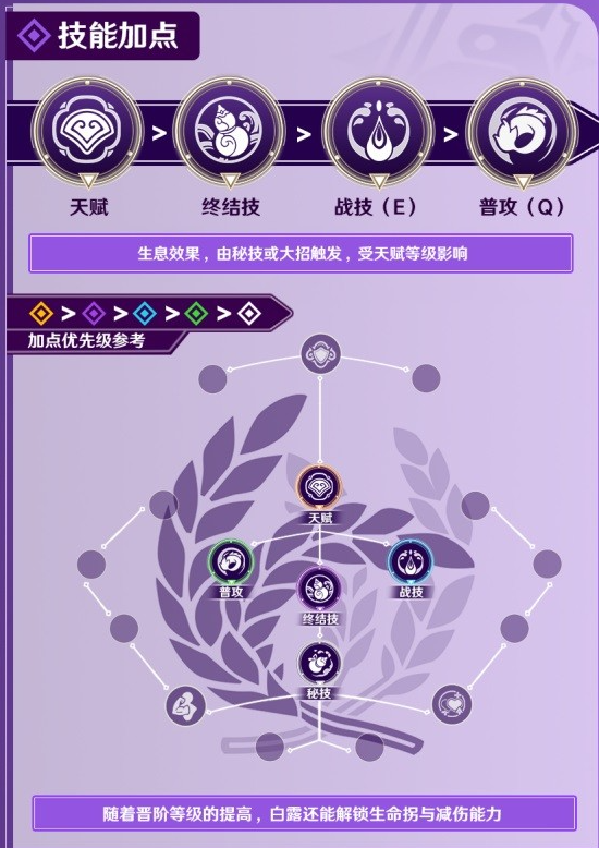 崩坏星穹铁道白露装备搭配一览
