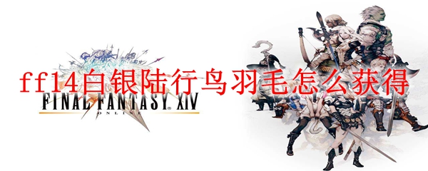 ff14白银陆行鸟羽毛怎么获得