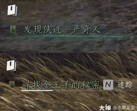 燕云十六声侠迹卷三严奇人任务怎么做