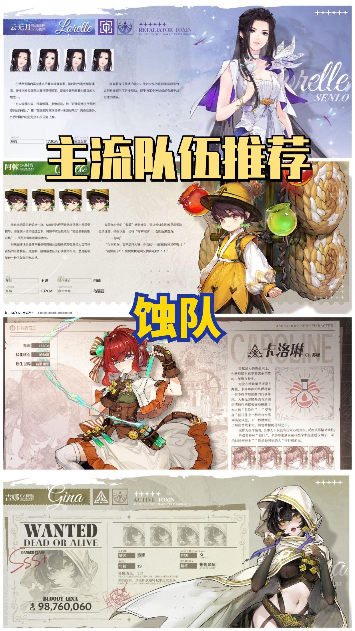白荆回廊新手配队推荐
