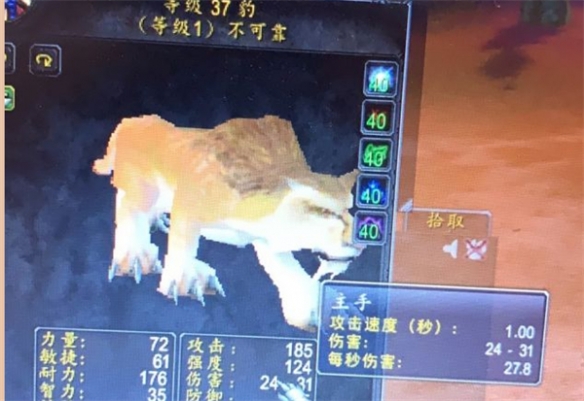 魔兽世界乌龟服断牙在哪
