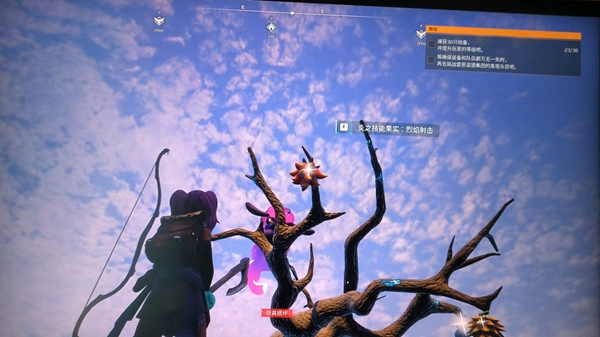 幻兽帕鲁技能果实获取地点