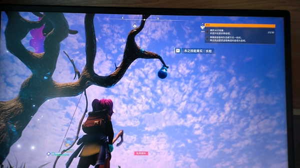 幻兽帕鲁技能果实获取地点