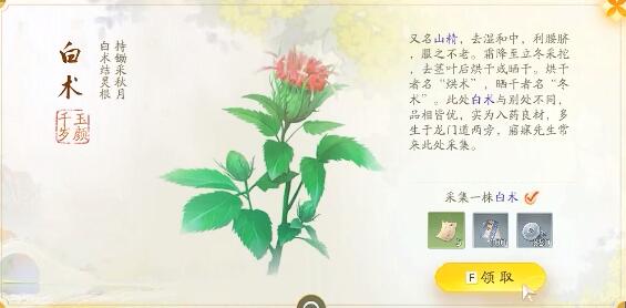 射雕快活林梦华录在哪