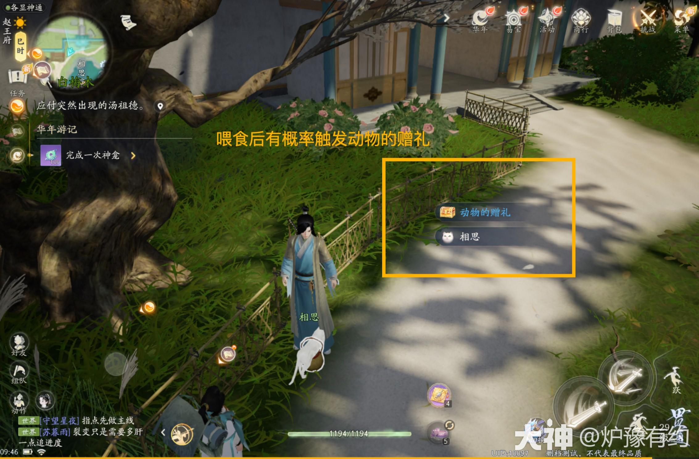 射雕动物投喂在哪学