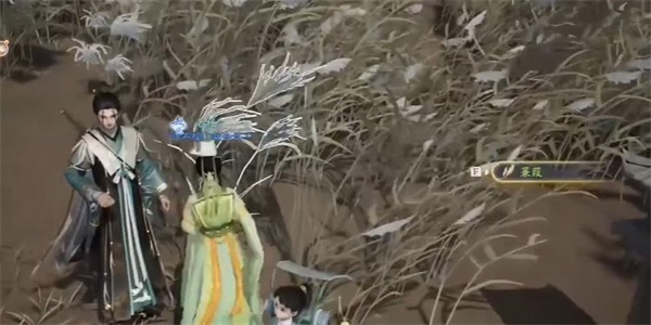 射雕蒹葭怎么获得