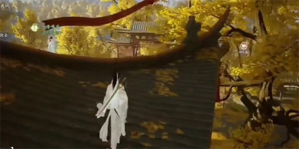 射雕白额雁蛋怎么获得