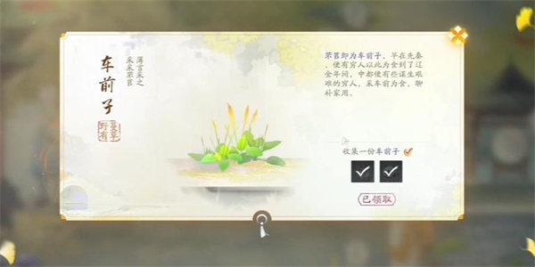 射雕车前子在哪采集