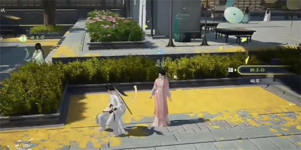 射雕车前子在哪采集