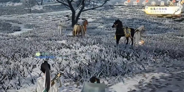 射雕六角白梅在哪