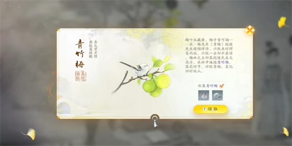 射雕青竹梅怎么收集