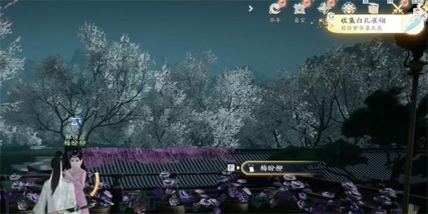 射雕白孔雀翎怎么获得