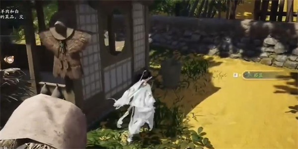 射雕菘蓝在哪采集