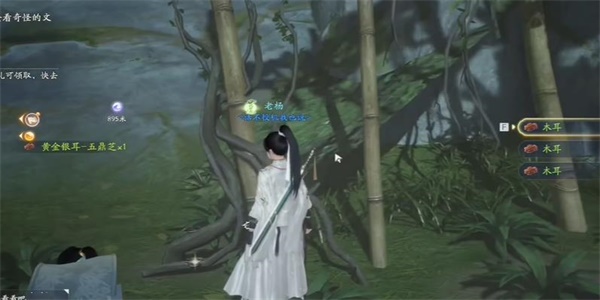 射雕五鼎芝在哪