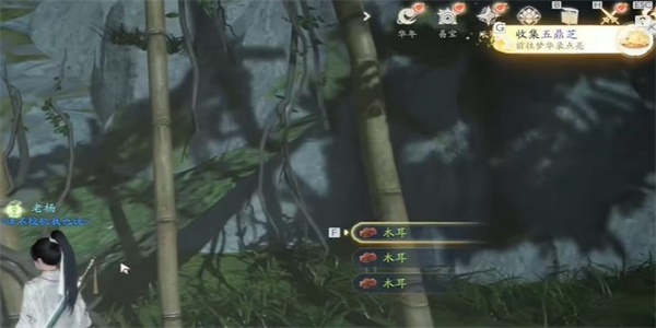 射雕五鼎芝在哪
