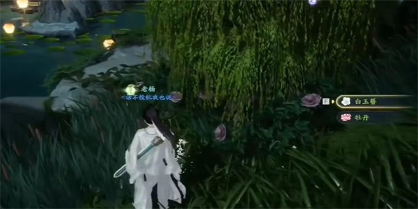 射雕白玉簪在哪