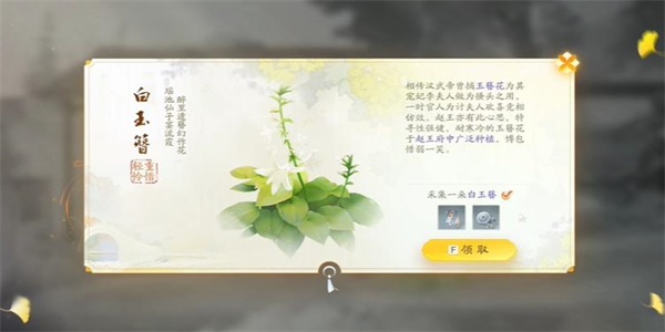 射雕白玉簪在哪