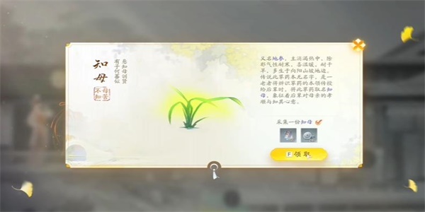 射雕知母怎么收集