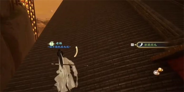 射雕杜鹃尾羽怎么获得