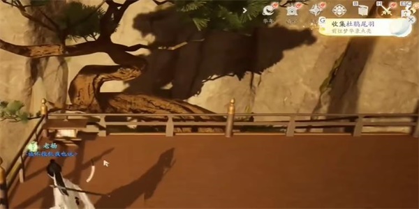 射雕杜鹃尾羽怎么获得