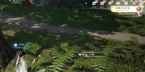 射雕金盏罗盘怎么获得