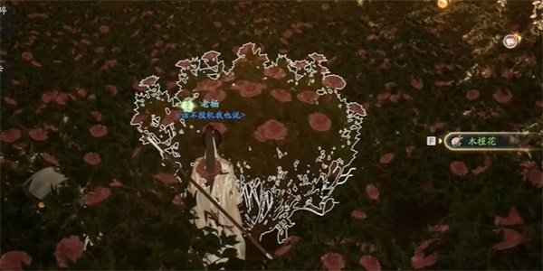 射雕木槿花怎么获得