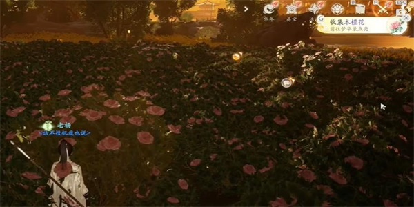 射雕木槿花怎么获得
