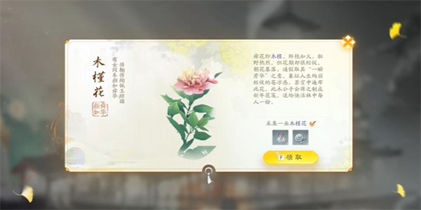 射雕木槿花怎么获得