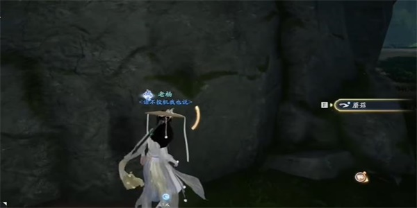 射雕朱门安甜贫者道寒成就攻略