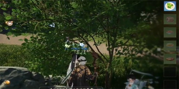 射雕红尘戏鱼脍尝鲜任务怎么做