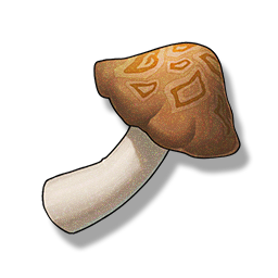 鸣潮碎金饭怎么获得