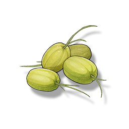 鸣潮冬云菱果粥怎么获得