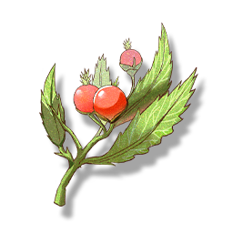 鸣潮眠花粥怎么获得