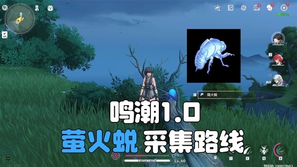 鸣潮隐火蜕采集点