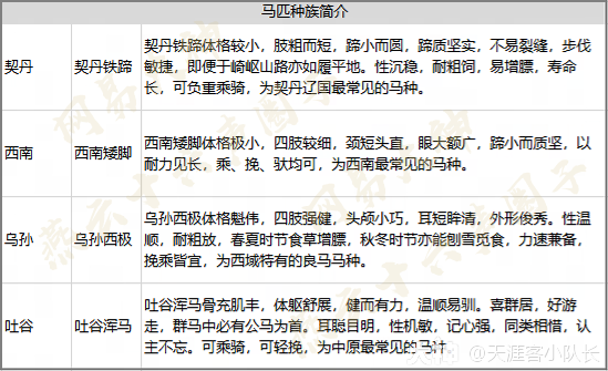 燕云十六声马匹坐骑获取攻略