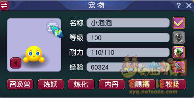 梦幻西游泡泡乐园在哪里进