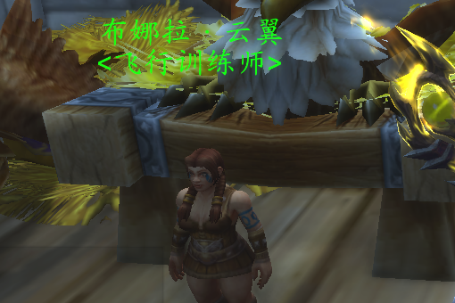 魔兽世界wlk暴风城骑术训练师在哪