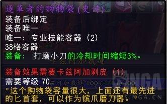 魔兽世界逐革者的购物袋属性是什么