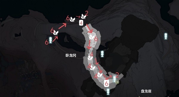 鸣潮龙吐珠采集路线