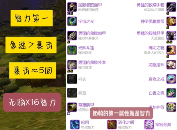 魔兽世界怀旧服圣骑士超级直升配装攻略