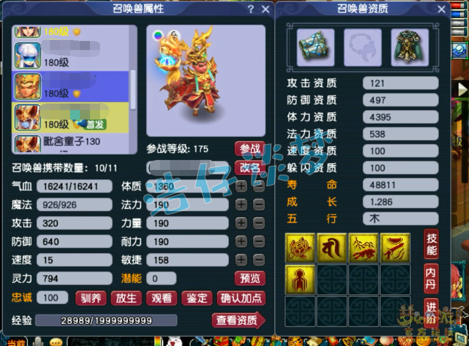 梦幻西游175帮战女儿村属性展示