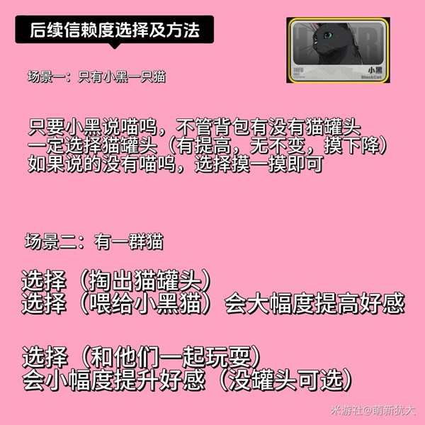 绝区零六分街小黑猫任务攻略