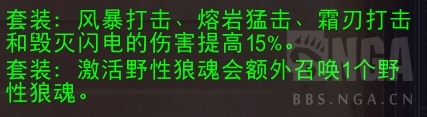 魔兽世界11.0增强萨装备选什么