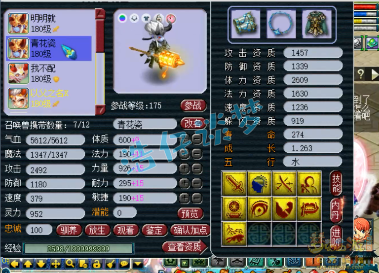 梦幻西游服战咒师普陀展示图175级