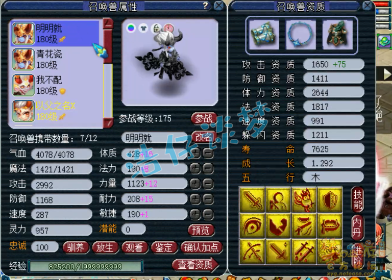梦幻西游服战咒师普陀展示图175级