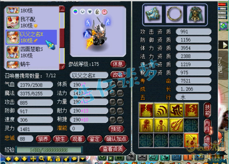 梦幻西游服战咒师普陀展示图175级
