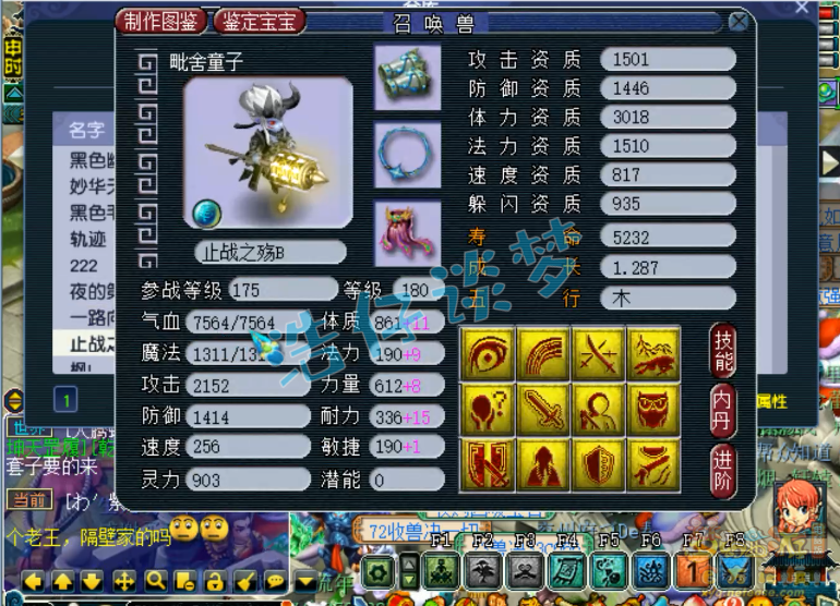 梦幻西游服战咒师普陀展示图175级