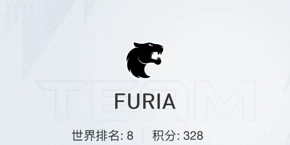 CSGO2024上海majorFURIA战队选手名单