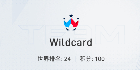 CSGO2024上海majorWildcard战队选手名单