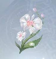 无限暖暖雨滴蝶兰怎么获得